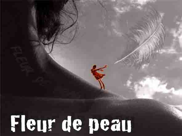 AffichePetiteFdP